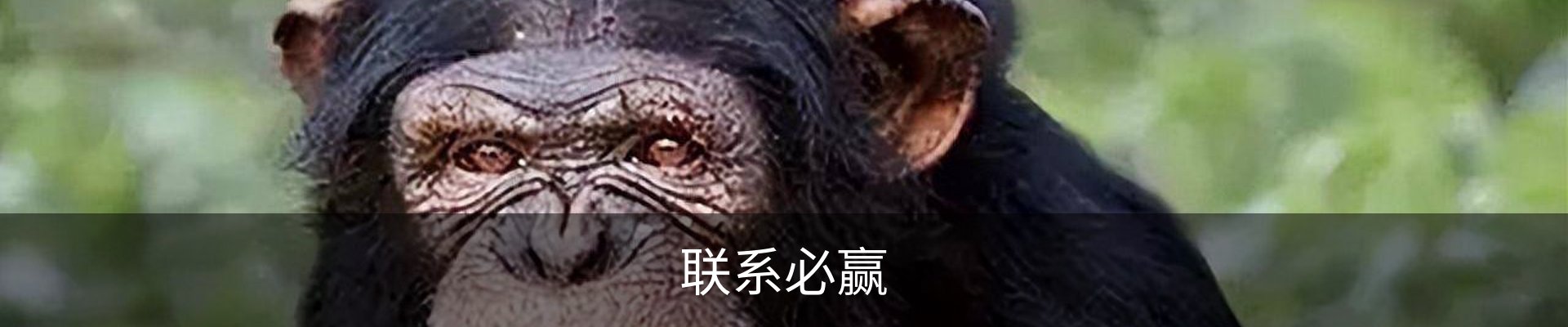 联系必赢